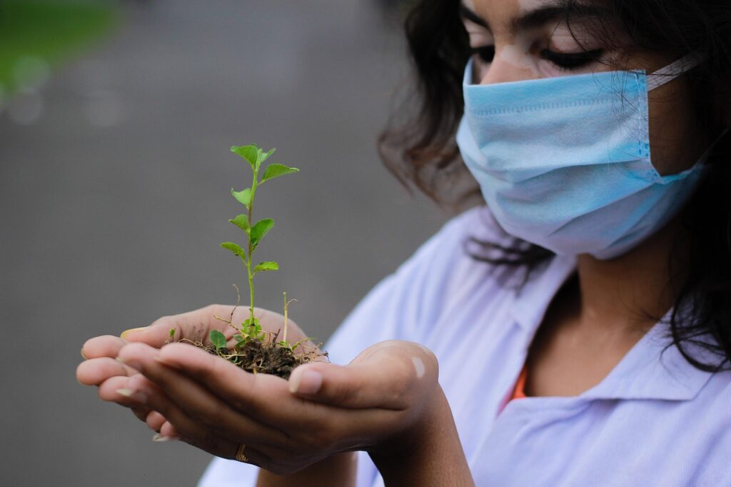 plant, seedling, researcher, nature, hands, mask, face mask, planting, closeup